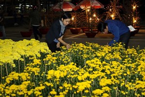 Г.Хошимин усиливает интегрирование с другими провинциями и городами страны для развития туризма